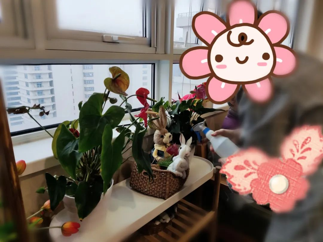 73岁认知症阿姨入住3个月奇迹好转：从吵闹回家到合群快乐，泰康之家做对了什么？